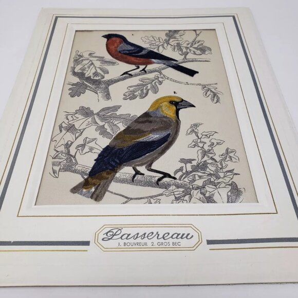 Bianchini Ferier Passereau Lyon Silk Art Bouvreuil & Gros Bec Birds Passereaux - Picture 2 of 9